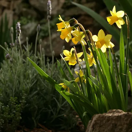 Country house La Casa De Arribes
