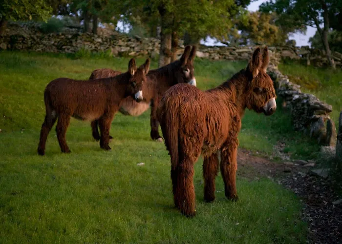 Εξοχικό σπίτι La Casa De Arribes *